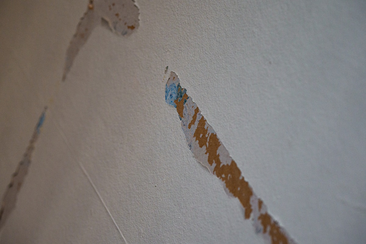 Basement Water Removal service in Anderson, IN